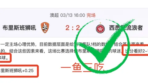 Daran 28000mAh 100W磷酸铁锂充电站TSA合